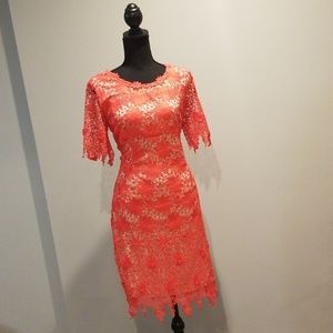 Lace Dress